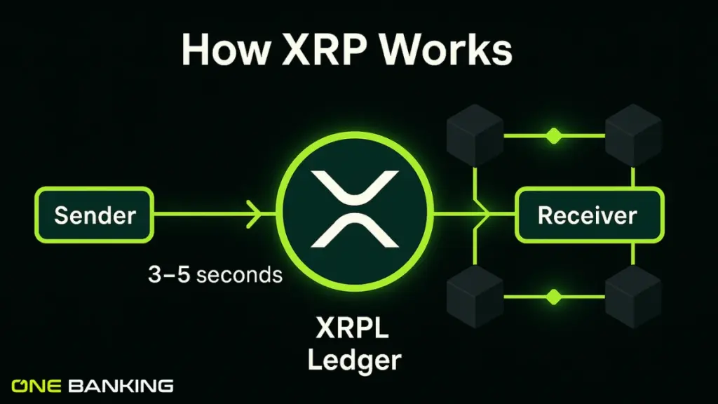 How XRP Works – Blockchain Transaction Flow